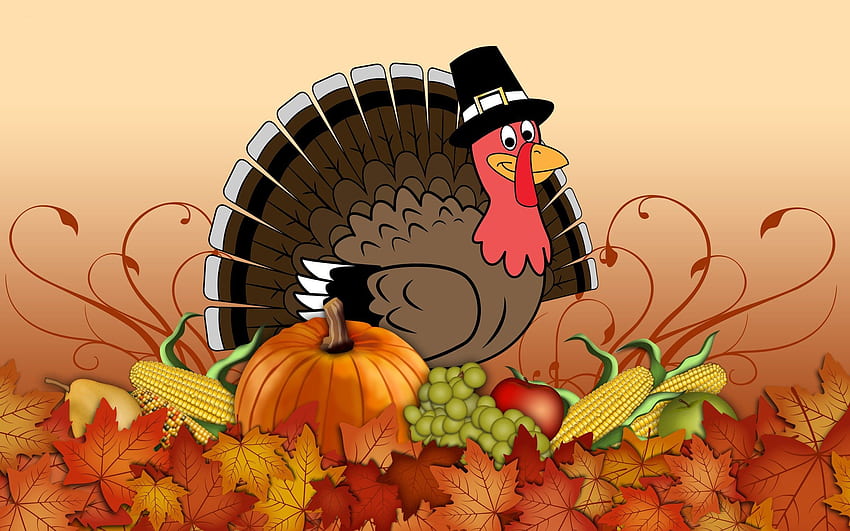 Funny thanksgiving background HD wallpapers | Pxfuel