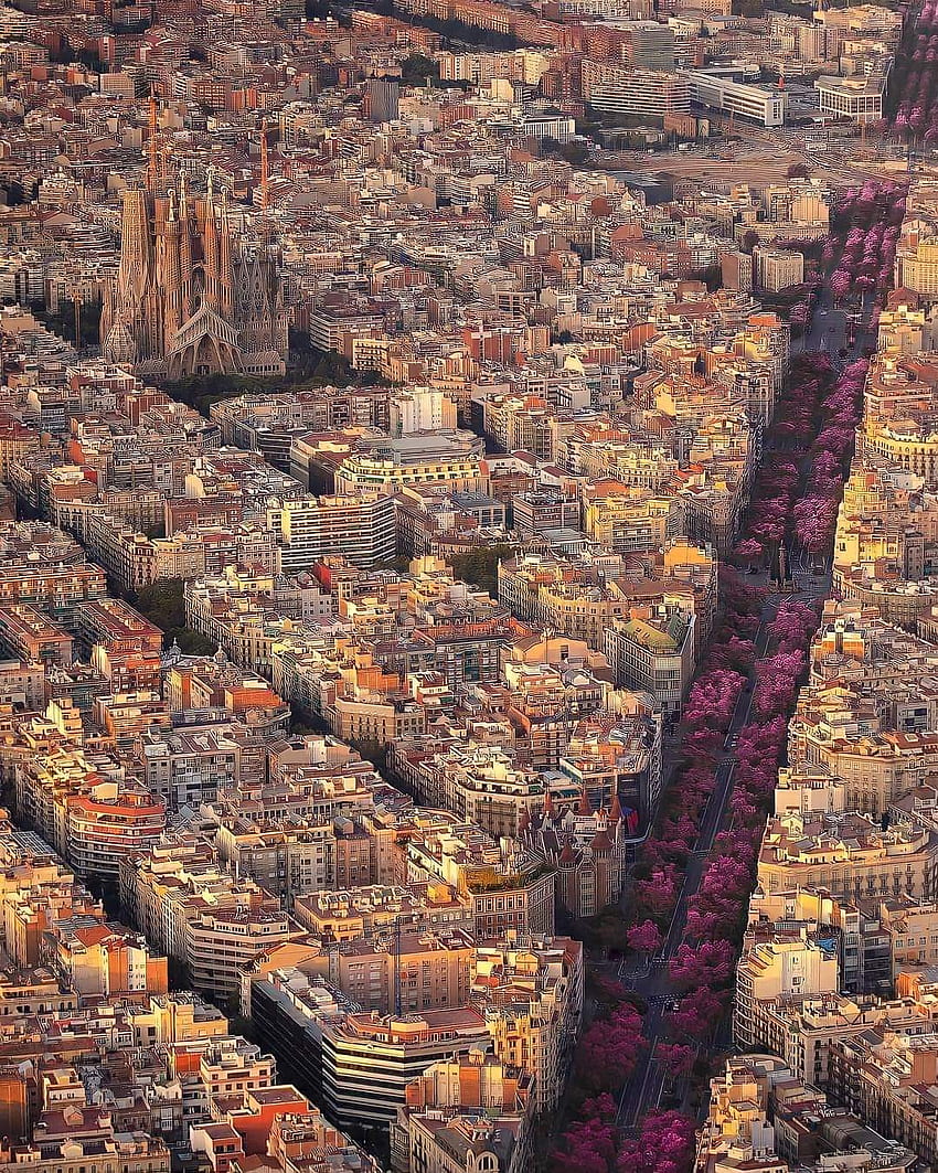 Barcelona Spain, brickwork, world HD phone wallpaper