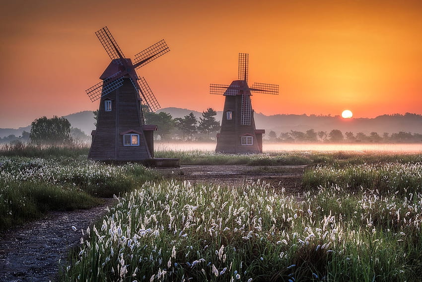 Windmill, susnet, morning, field HD wallpaper