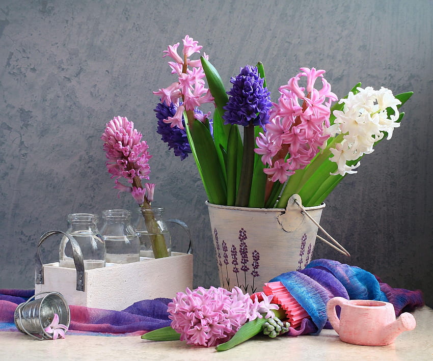 Flowers, Still Life, Spring, Bottle, Bottles, Hyacinths, Bucket, Watering Can HD wallpaper