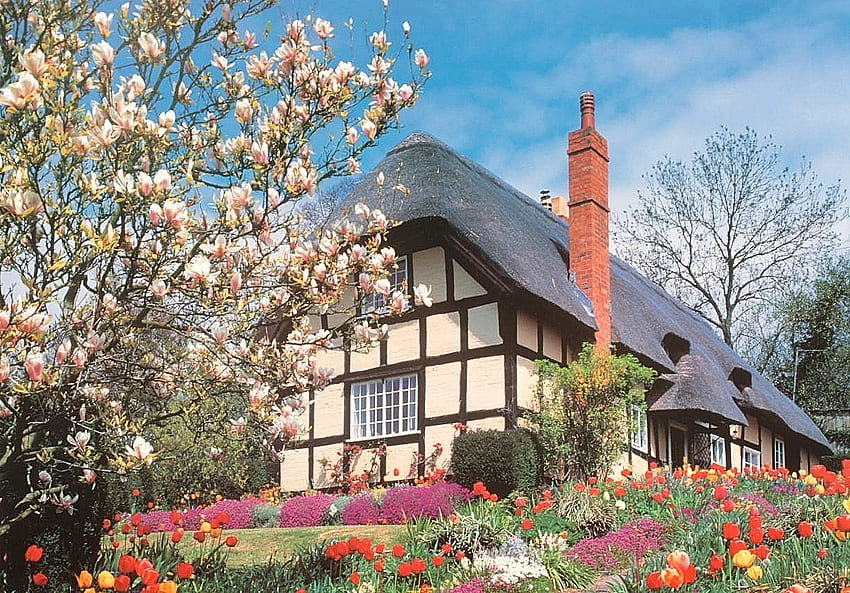 April Flowers, blossoms, garden, colors, cottage, magnolia, tree HD wallpaper