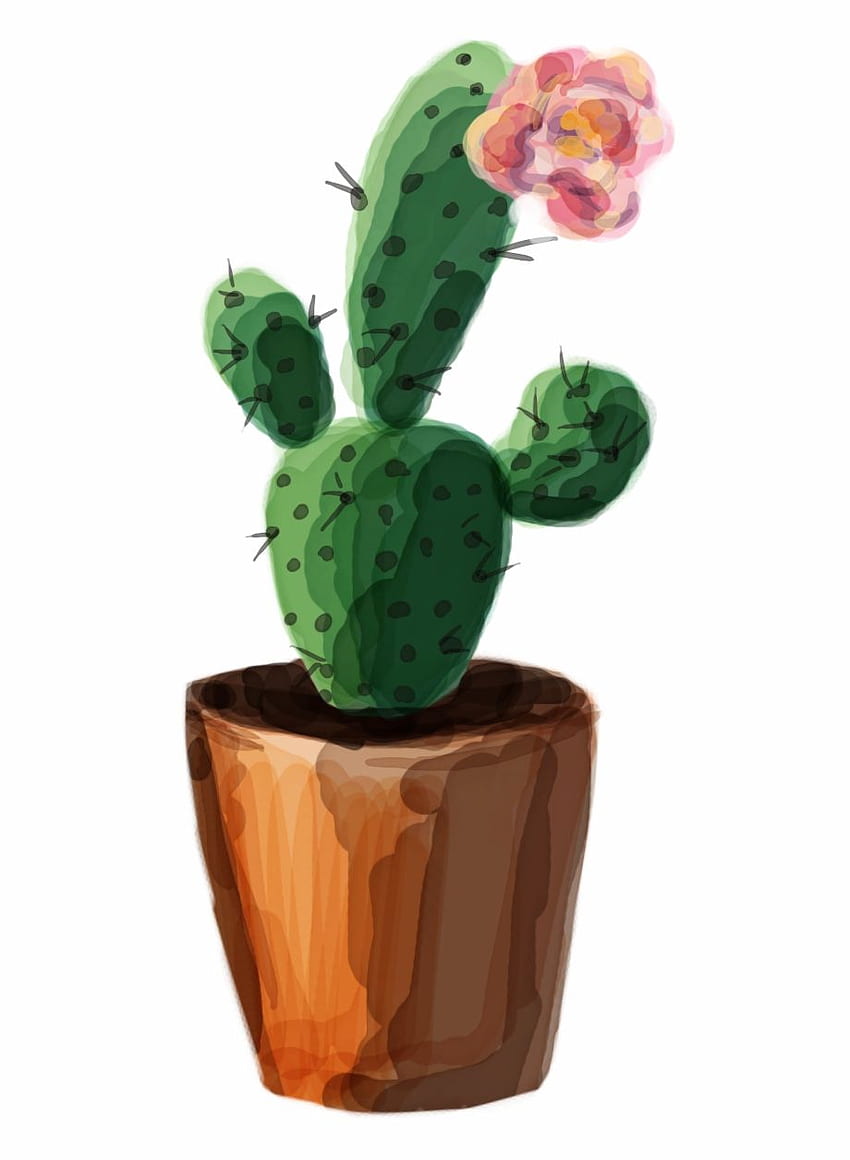 Pin By Charlotte Yaklich On Painting And Drawing, Aesthetic Cactus HD phone wallpaper