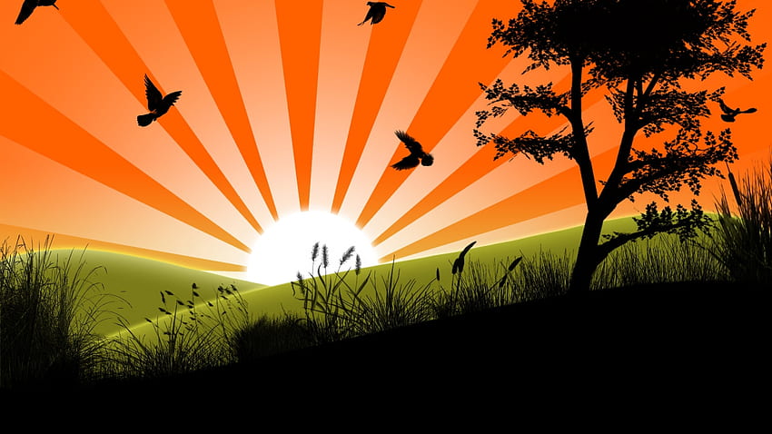 birds, grass, trees 1440P Resolution , Vector , , and Background, Birds and Trees HD wallpaper