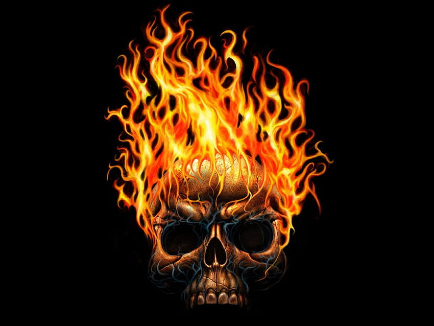 Fire Skull - 3D Of Skull - -, Kuru Kafa HD wallpaper