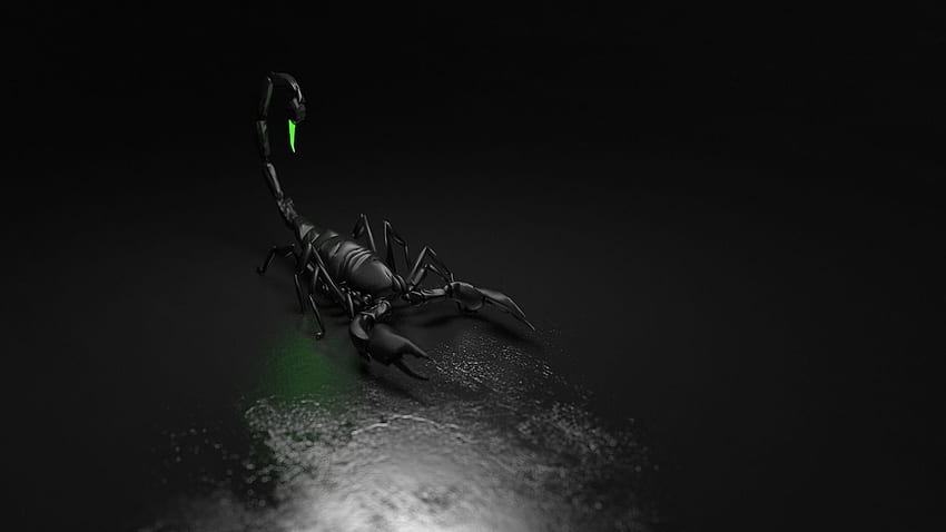 Компютърна графика на Scorpion - Scorpion, Black Scorpion HD тапет