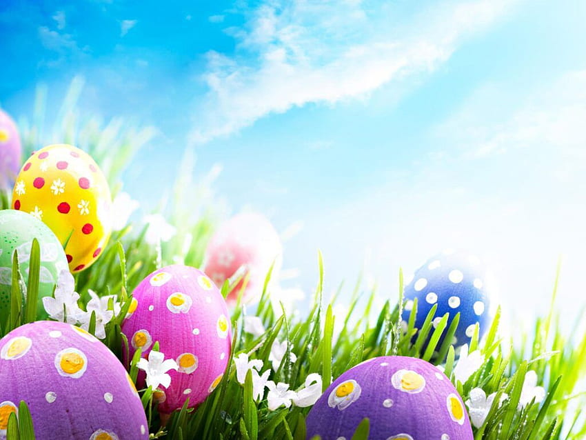 Easter Background for Zoom, Teams & Skype - Funny Meeting Background, Spring Easter HD wallpaper