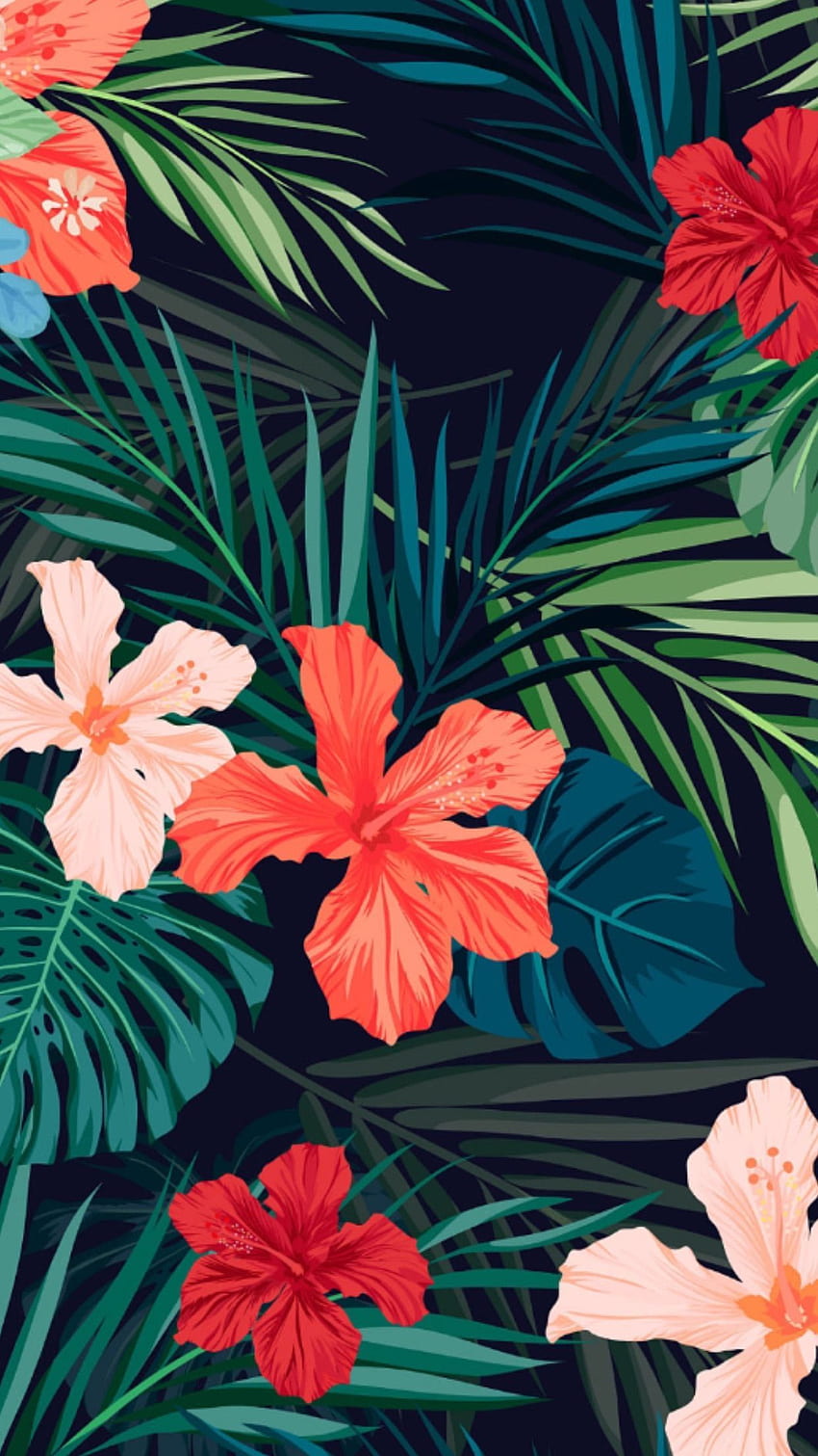 iPhone'a . Hibiskus, hawajski hibiskus, kwiat, czerwony, roślina, czerwony hawajski nadruk Tapeta na telefon HD