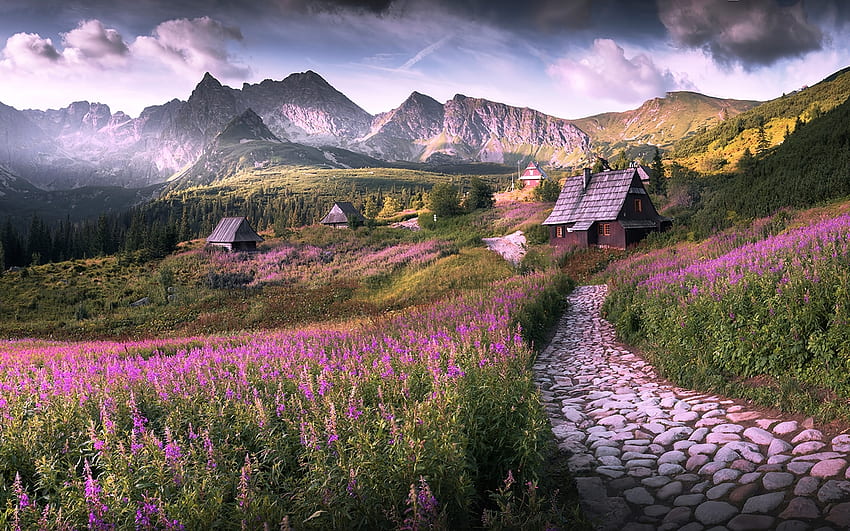 Tatra in Poland, path, valley, cabins, Tatra, Poland, mountains HD wallpaper