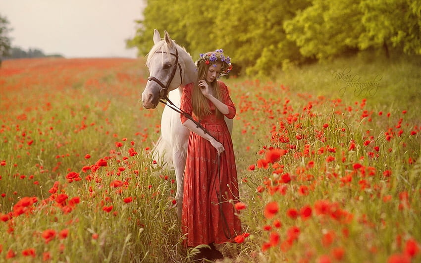 Summer, poppies, horse, blossoms, field, trees, girl HD wallpaper
