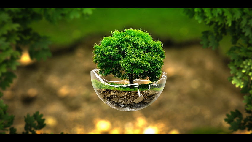 bola manipulasi alam hijau nyata. Alam, Grafik hijau Wallpaper HD