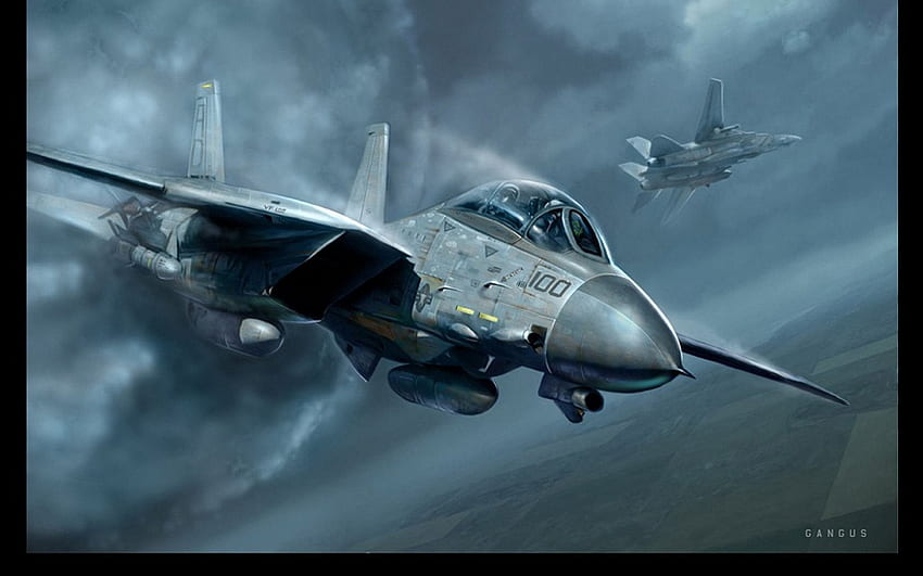 40 Grumman F14 Tomcat HD Wallpapers and Backgrounds