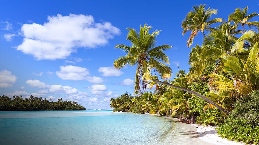 Tropikalna plaża na One Foot Island (Tapuaetai), Aitutaki, Wyspy Cooka. W centrum uwagi Windows 10 Tapeta HD
