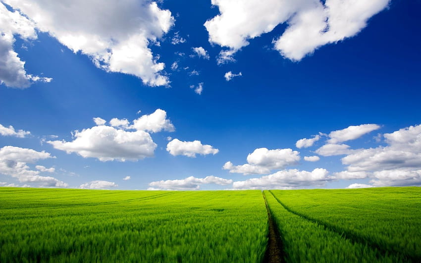 Klimat nie jest jedynym ograniczeniem dla rolnictwa. Niebieskie niebo Tapeta HD
