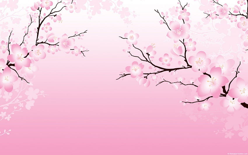 Bunga sakura Jepang, merah muda, seni, ceri, mekar Wallpaper HD