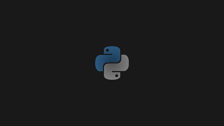 python Fond d'écran HD