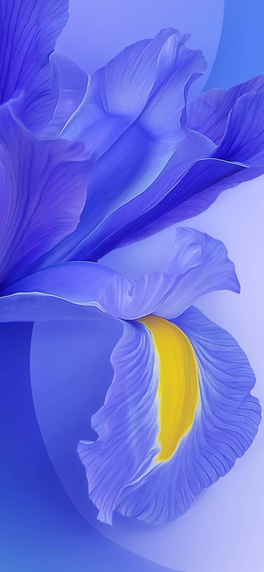 Download Dot Notch Wallpapers for Redmi 8 And Redmi 8A