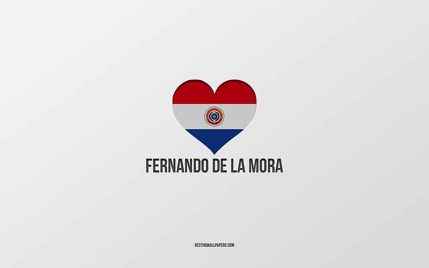 I Love Fernando de la Mora, Paraguayan cities, Day of Fernando de la Mora, gray background, Fernando de la Mora, Paraguay, Paraguayan flag heart, favorite cities, Love Fernando de la Mora HD wallpaper