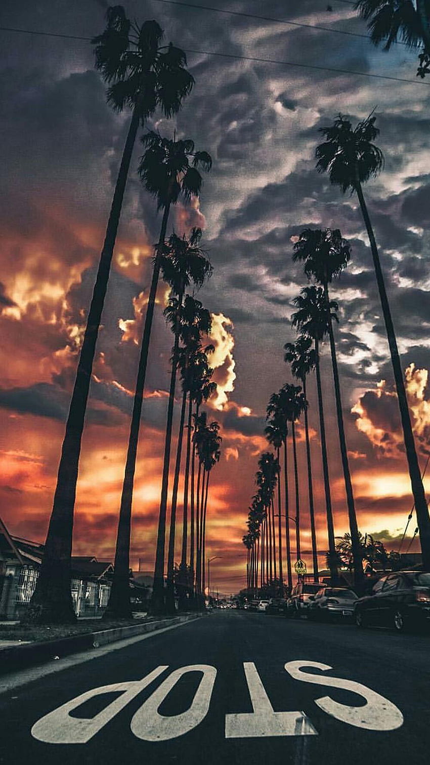 Kalifornien-Sonnenuntergang - Kalifornien für Telefon und iPhone, Kalifornien-Palmen-Sonnenuntergang HD-Handy-Hintergrundbild