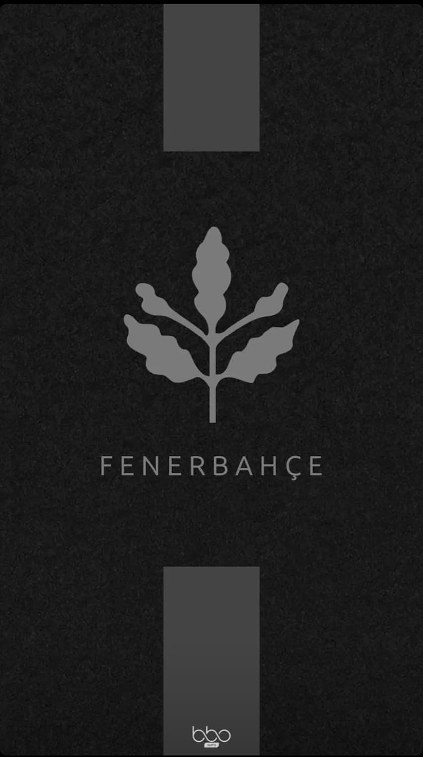 Fenerbahce、arma___、fenerbahce__ HD電話の壁紙