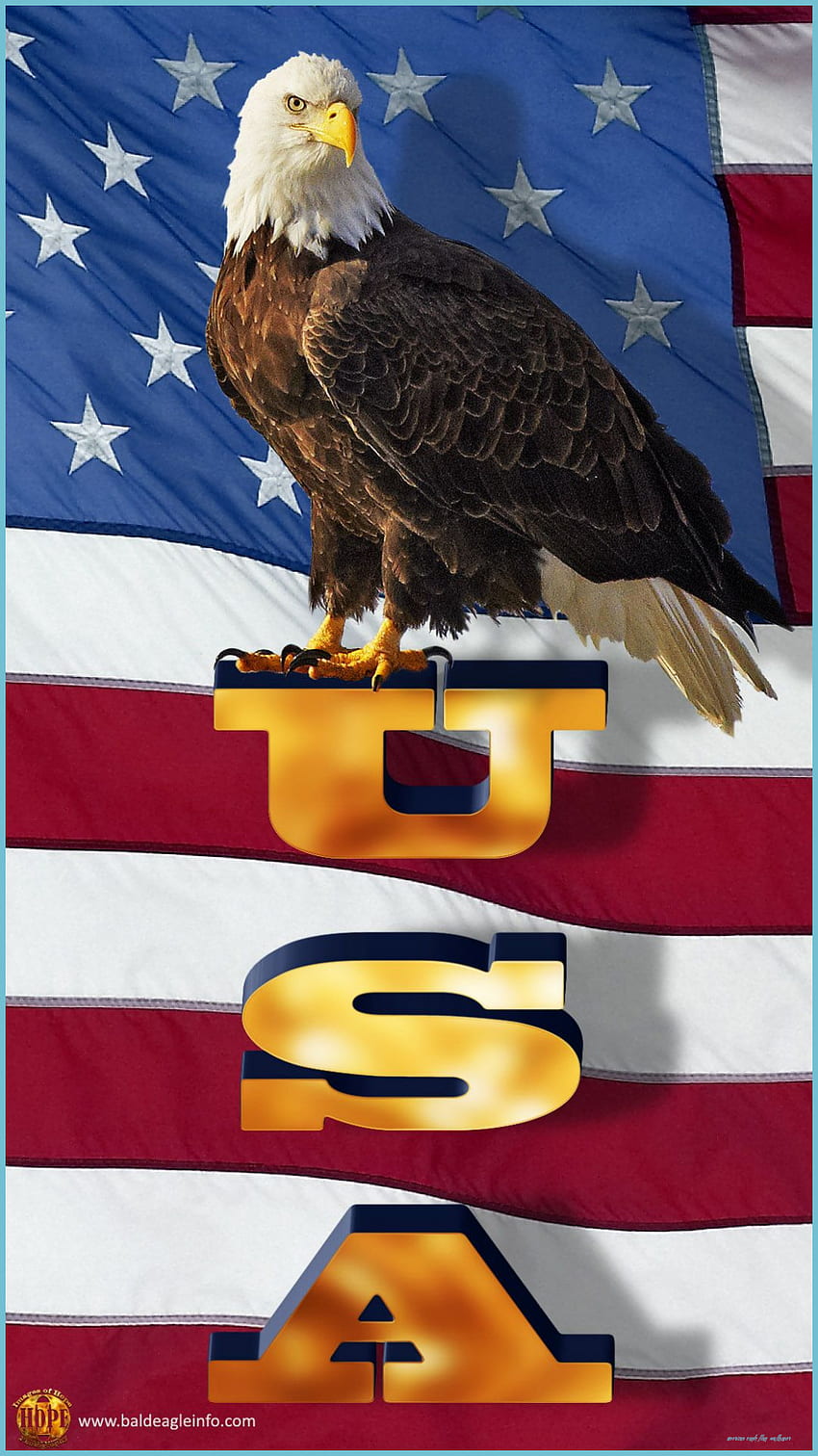 Aquila E Telefono Bandiera Sul Cane - American Eagle Flag Sfondo del telefono HD