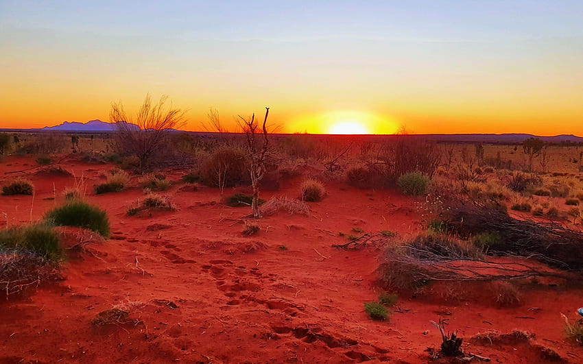 Yulara Northern Territory, Avustralya, kum, çöl, manzara, gökyüzü, çimen, güneş HD duvar kağıdı