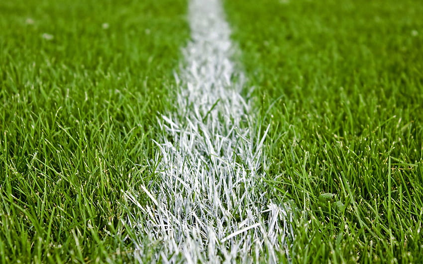 Football, grass, pitch HD wallpaper