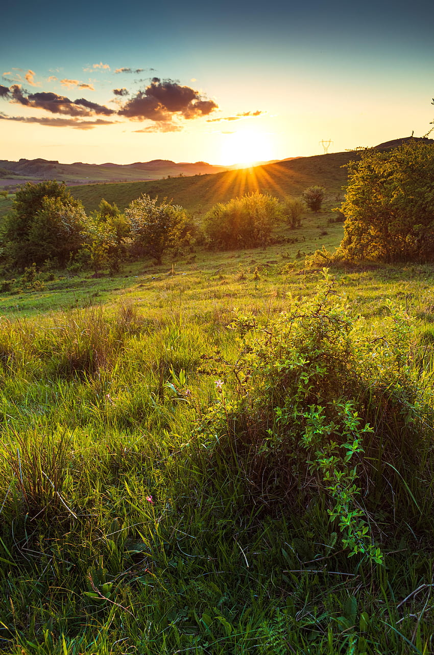 Nature, Grass, Sun, Rays, Beams, Slope, Hill HD phone wallpaper | Pxfuel