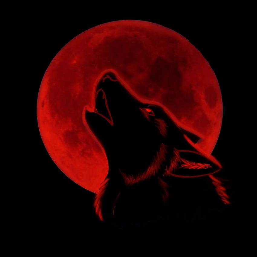 Anime Red Wolf Logo  LogoDix