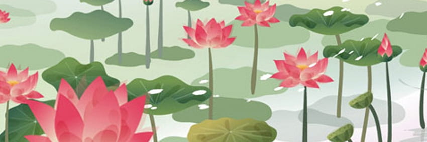 Teratai, manis, daun teratai, bunga, cantik, cantik, bagus, cantik, bunga, teratai air, indah, mekar, kolam Wallpaper HD