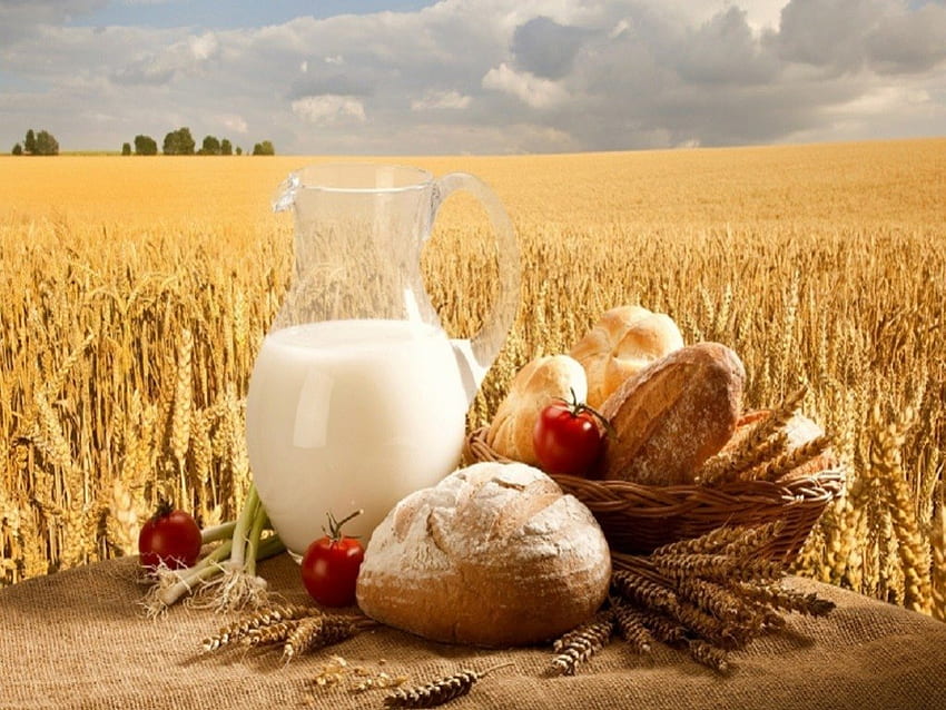 Nice Breakfast, Wheat, Breakfast, Bread, Food, Milk HD wallpaper
