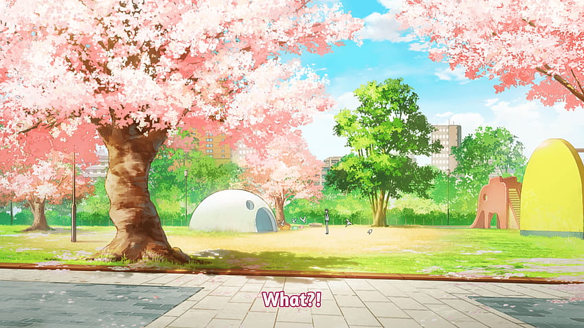 Wallpaper cat, girl, spring, garden, Sakura, Shigatsu wa Kimi no Uso, Your  April lie for mobile and desktop, section сёдзё, resolution 1920x1440 -  download