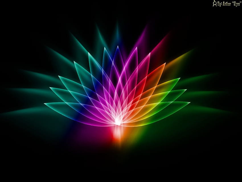 Mobil ve Tabletiniz için Işık Lotus 3D soyut renk karanlık çiçek ışık lotus neon []. Neon Soyut'u keşfedin. Neon Mavi, Neon HD duvar kağıdı