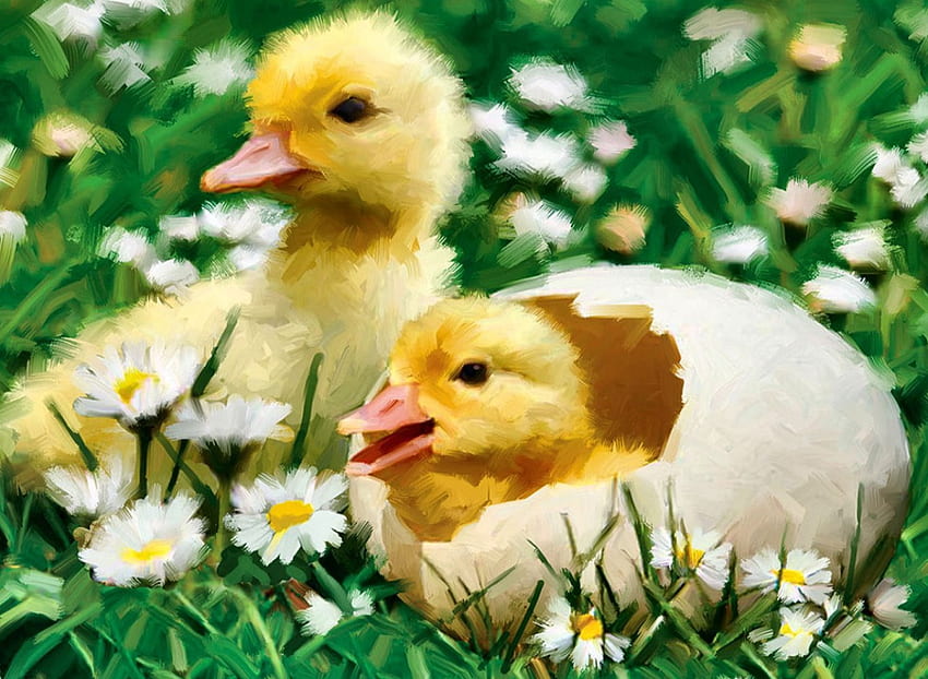 Easter Ducklings 1, Páscoa, arte, ovos, ilustração, patinhos, obra de arte, ocasião, tela larga, feriado, pintura, amor papel de parede HD
