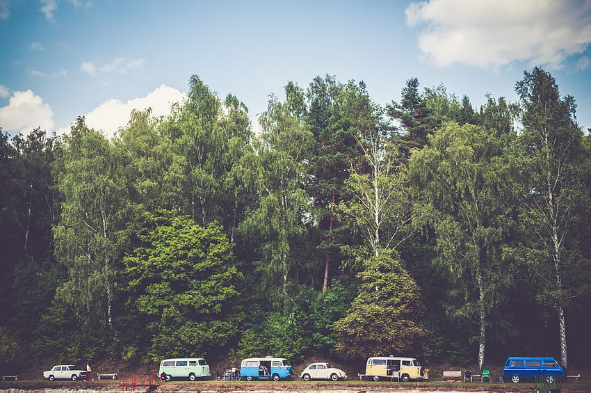 Natur, Bäume, Wald, Camping, Campingplatz, Vans HD-Hintergrundbild