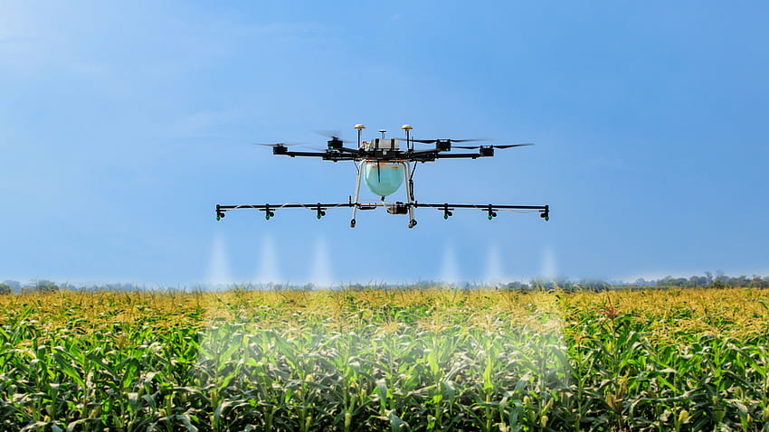 Jak drony torują nową drogę dla rolnictwa precyzyjnego w Indiach. FactorDaily, indyjskie rolnictwo Tapeta HD