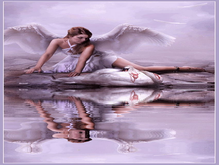 angel, swan, wing, reflection, broken HD wallpaper