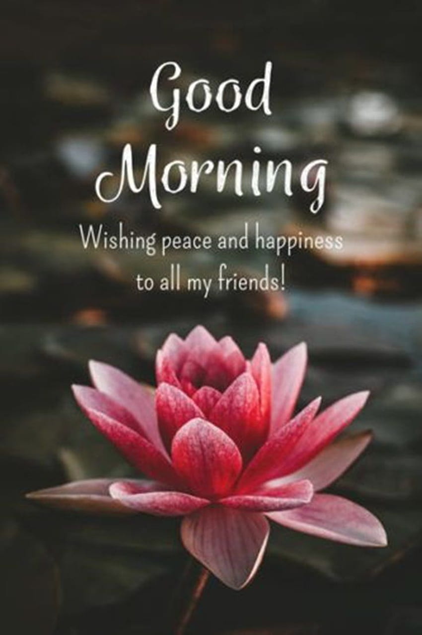 Beautiful Thought Good Morning Wishes: Start Your Day with Positivity ...