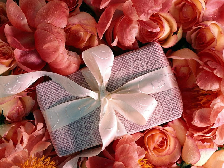 Pink Roses and a gift, pink, roses, gift, lovely HD wallpaper