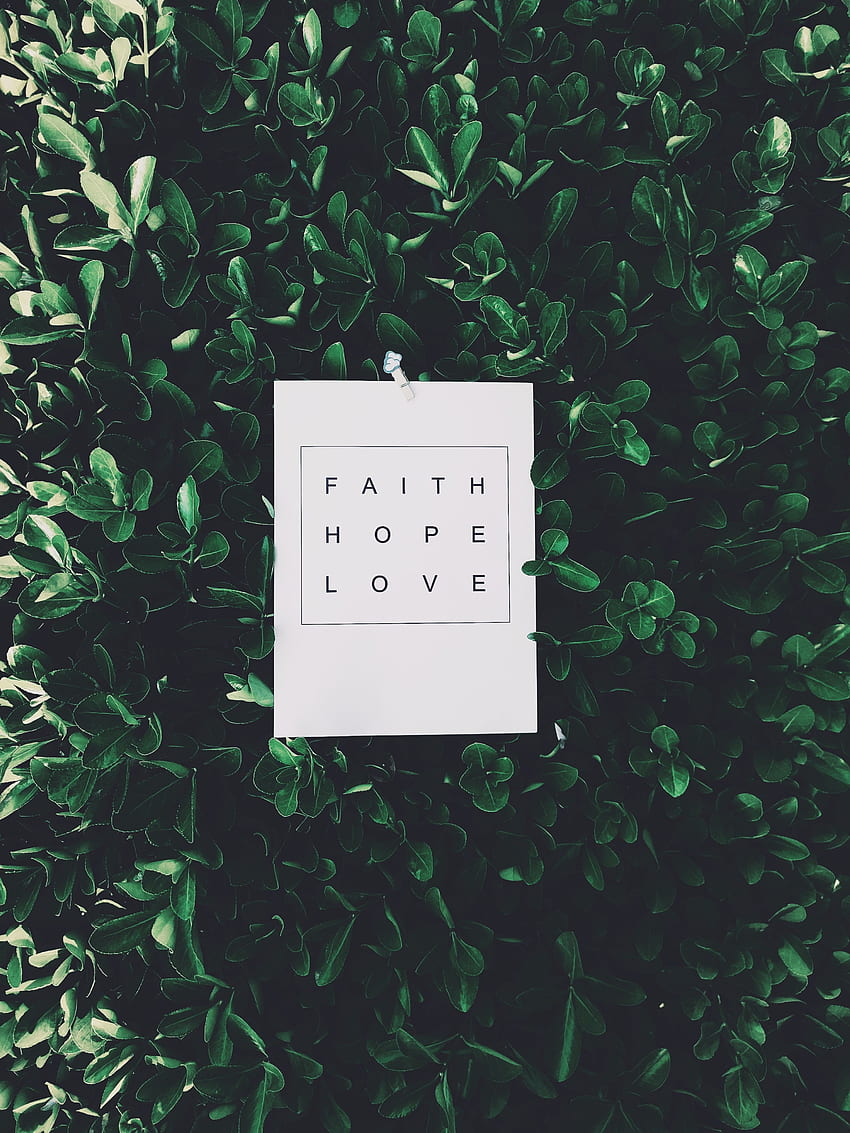 愛, 言葉, 碑文, 希望, 信仰, 信念 HD電話の壁紙