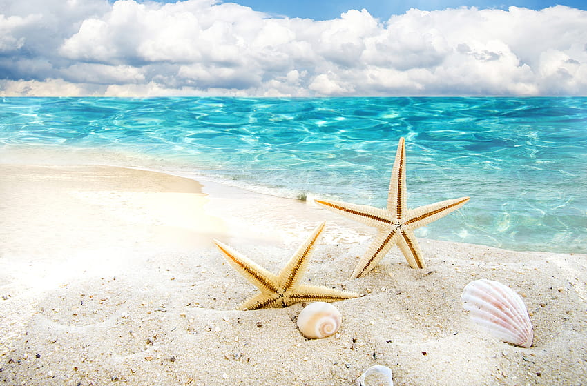 Happy Summer!, azul, mar, estrela do mar, branco, areia, praia, verão, água, vara, nuvem papel de parede HD