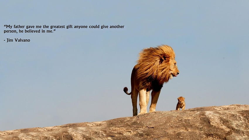 Animals quotes lions skyscapes . HD wallpaper