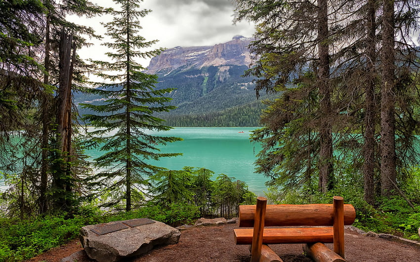 Emerald Lake, mountain lake, glacial lake, wooden bench, Alberta, Yoho National Park, British Columbia, Canada HD wallpaper