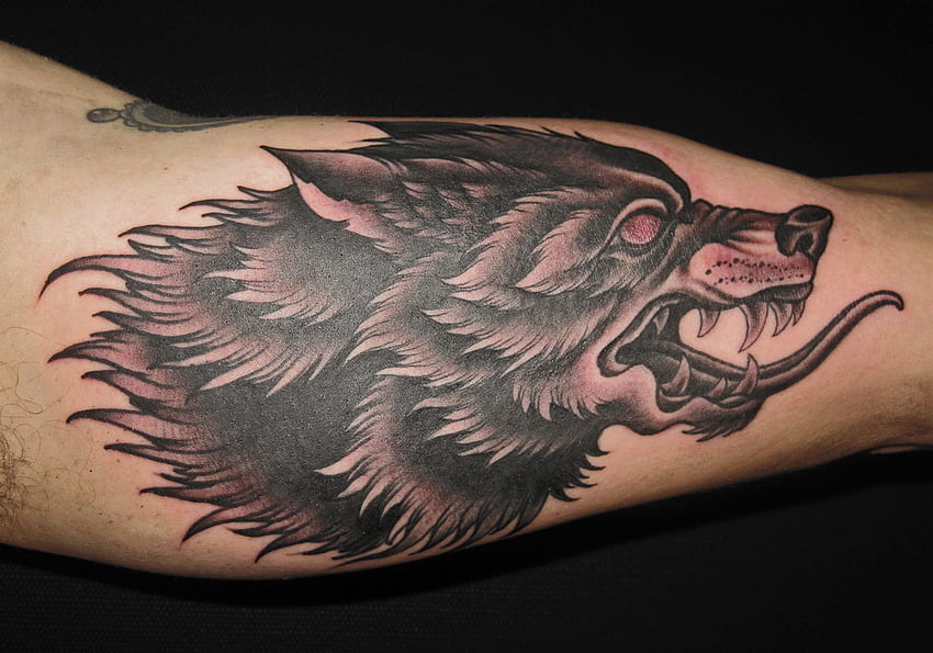 Snarling Wolf Tattoo Design - Black Wolf Head Tattoo - - teahub.io HD wallpaper