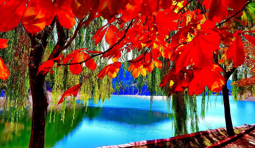 Октомври, цветен, блясък, цветове, хубаво, отражение, блясък, есен, златен, есен, красиво, дърво, падащи, листа, огледален, красив, клони, природа, прекрасен, зеленина HD тапет