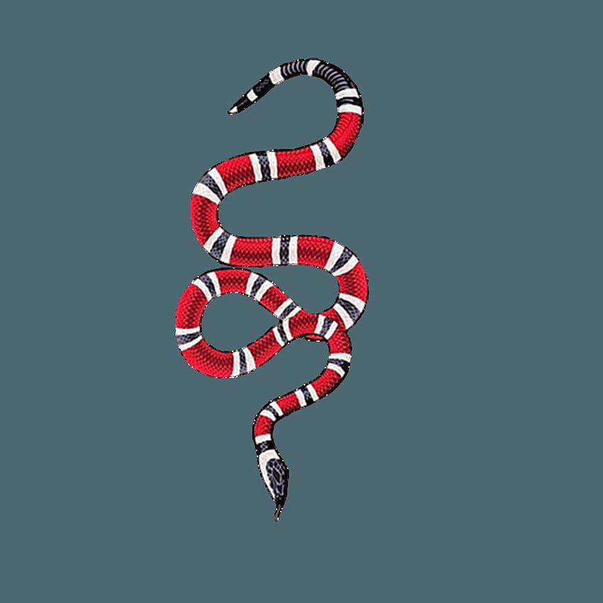 Gucci Snake Wallpaper  Download to your mobile from PHONEKY