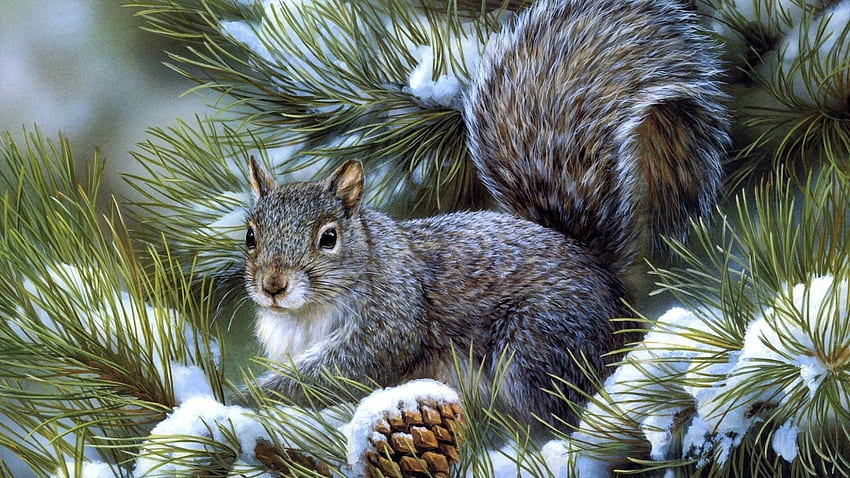 Animals, Squirrel, Wood, Sit, Tree, Spruce, Fir HD wallpaper