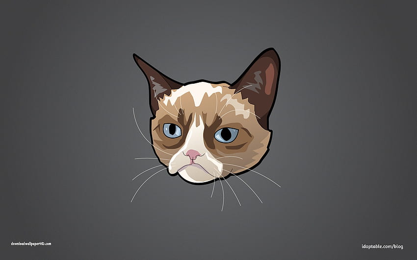 iPhone de gato mal-humorado, gato irritado papel de parede HD