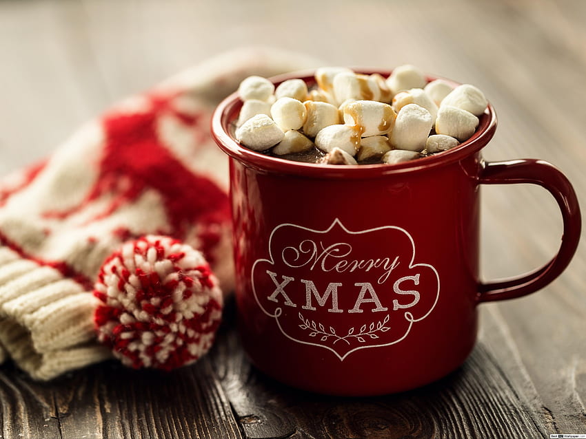 마시멜로를 곁들인 핫 코코아 크리스마스 머그, 크리스마스 핫 초콜릿 HD 월페이퍼