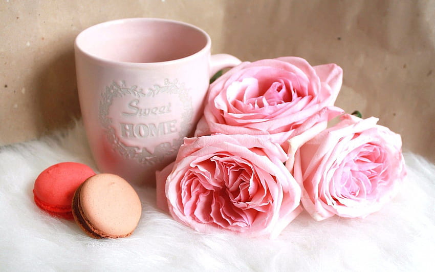 Roses, Food, Cookies, Cup, Macaron HD wallpaper