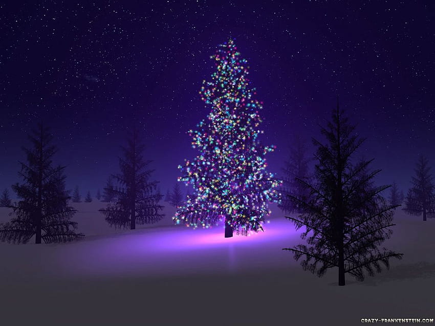 Skipping Christmas Part One. Beautiful christmas trees, Purple christmas tree, Purple christmas, Purple Christmas Ornaments HD wallpaper